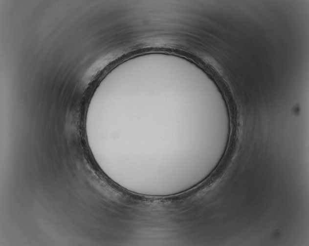 X0000116550922200912311908