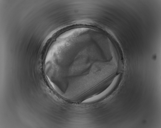 X0000116550923200912311908