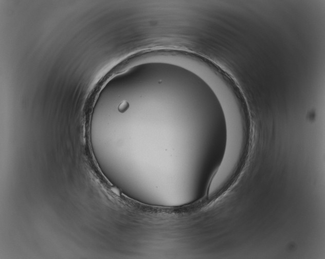 X0000116550925200912311908