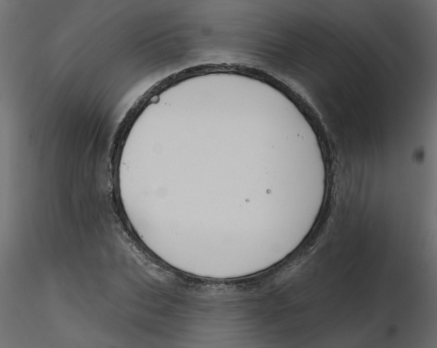 X0000116550927200912311908