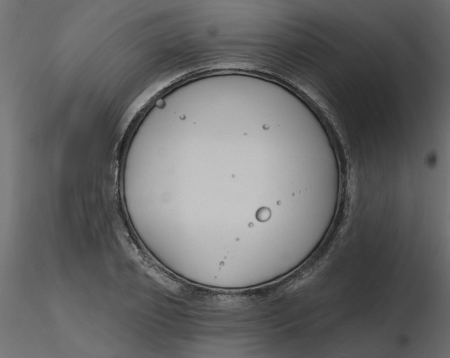 X0000116550933200912311908