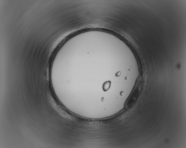 X0000116550934200912311908