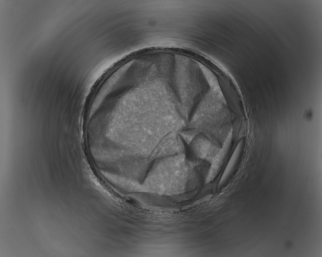 X0000116550935200912311908