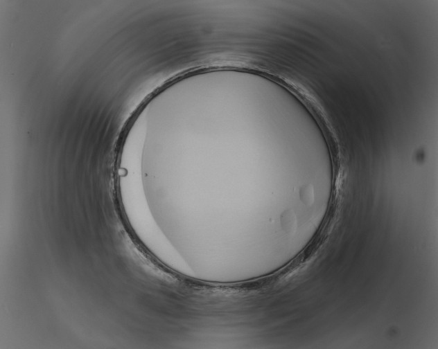 X0000116550941200912311908