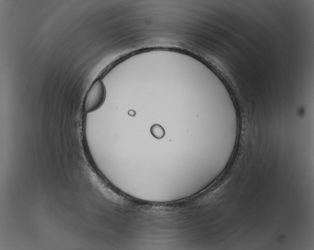 X0000116550942200912311909