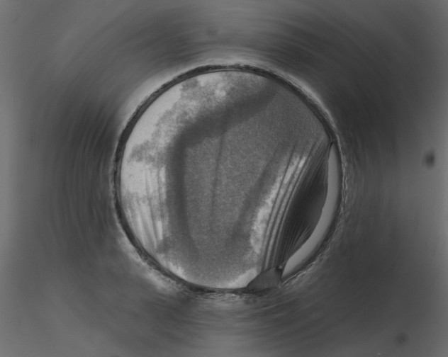 X0000116550943200912311909