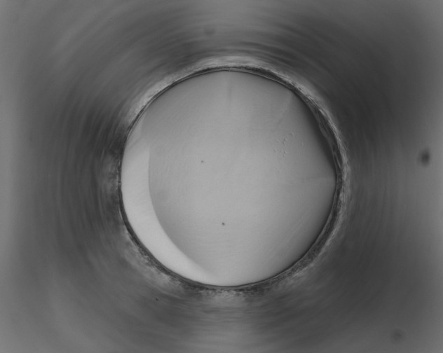 X0000116550945200912311909