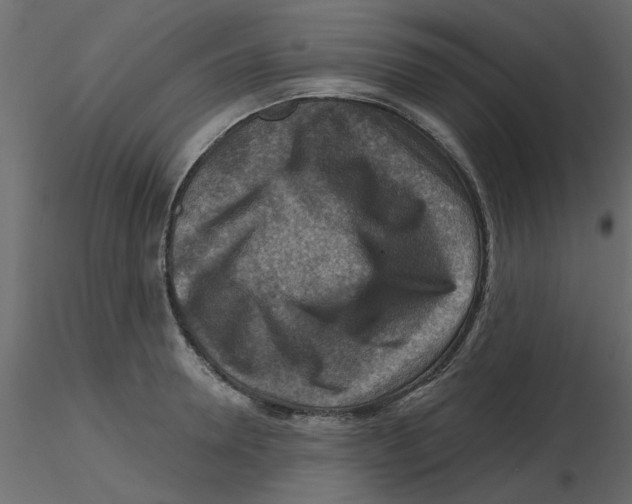 X0000116550946200912311909