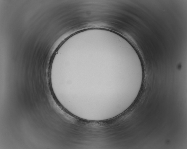 X0000116550947200912311909