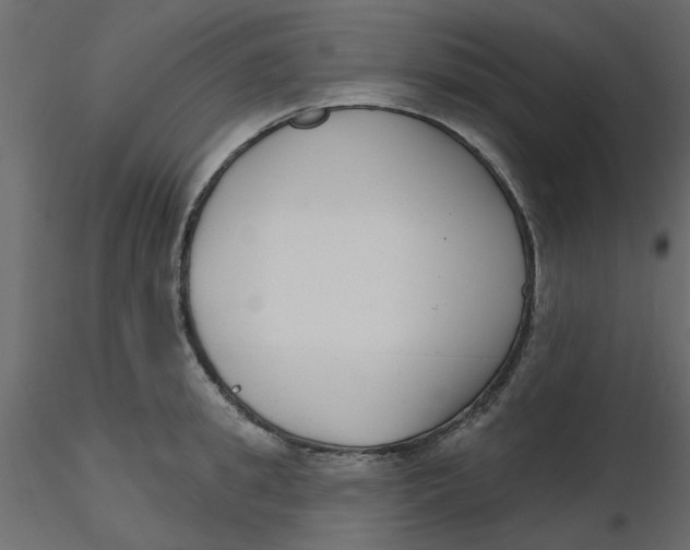 X0000116550949200912311909