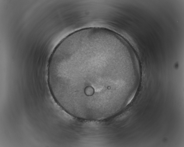 X0000116550950200912311909