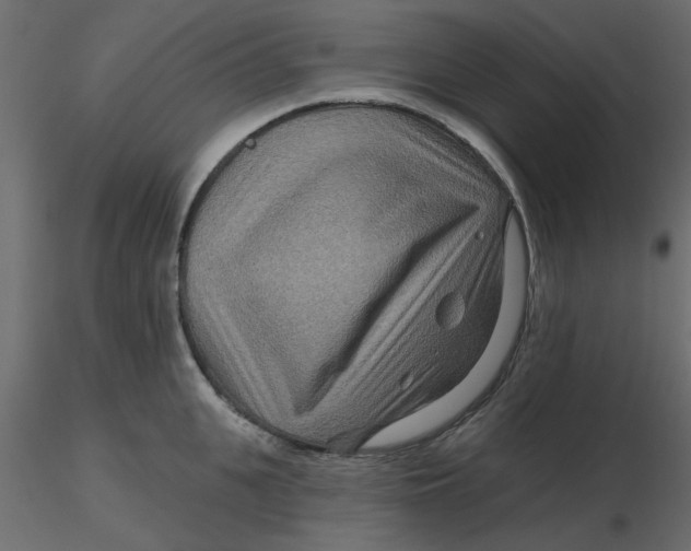 X0000116550951200912311909