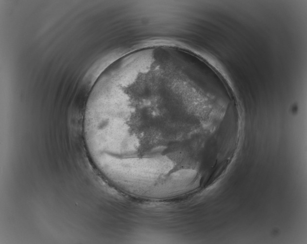 X0000116550953200912311909