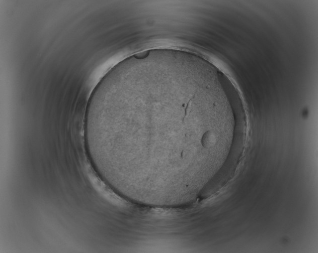 X0000116550954200912311909