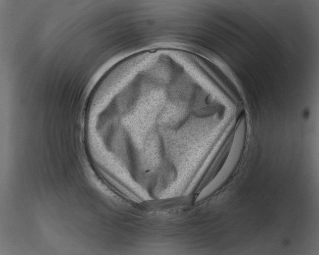 X0000116550955200912311909