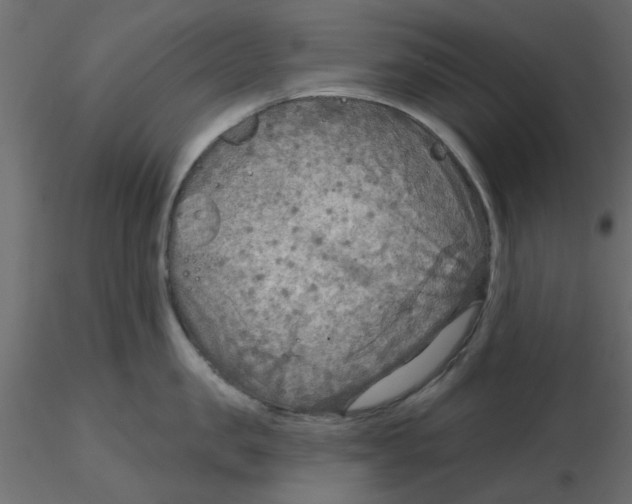 X0000116550957200912311909