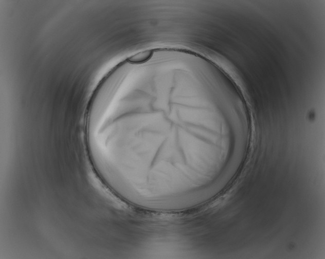 X0000116550958200912311909