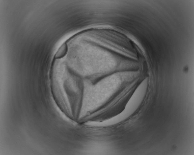 X0000116550959200912311909