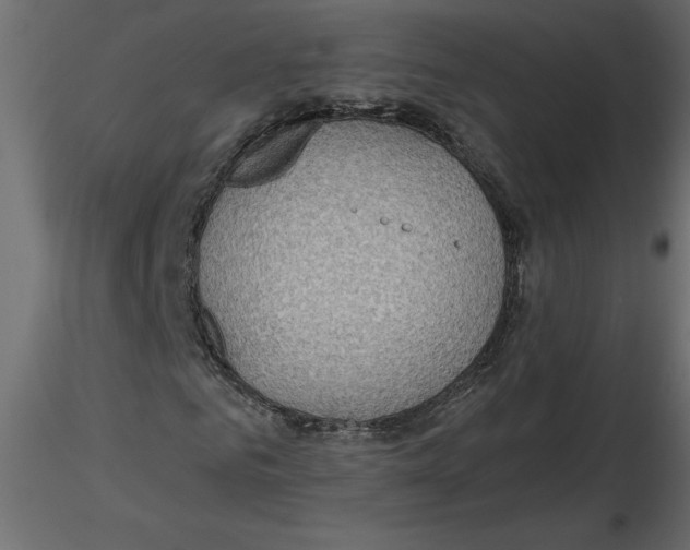 X0000116550961200912311908