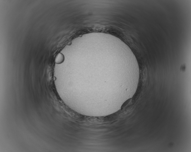 X0000116550962200912311908