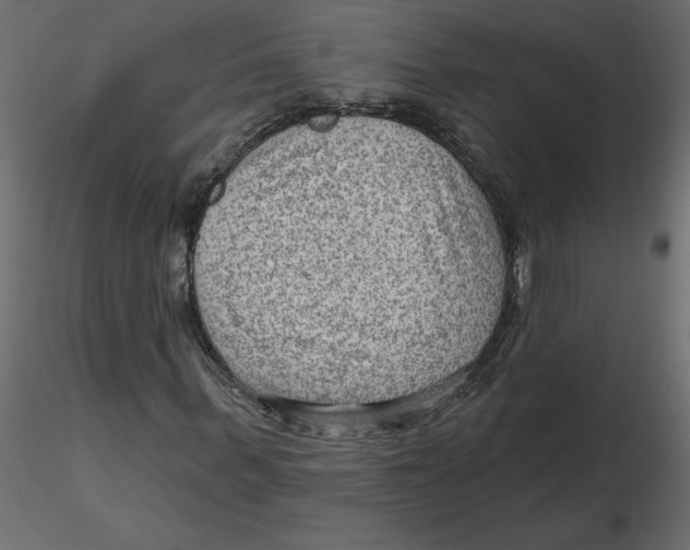 X0000116550963200912311908