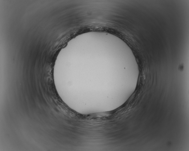 X0000116550964200912311908