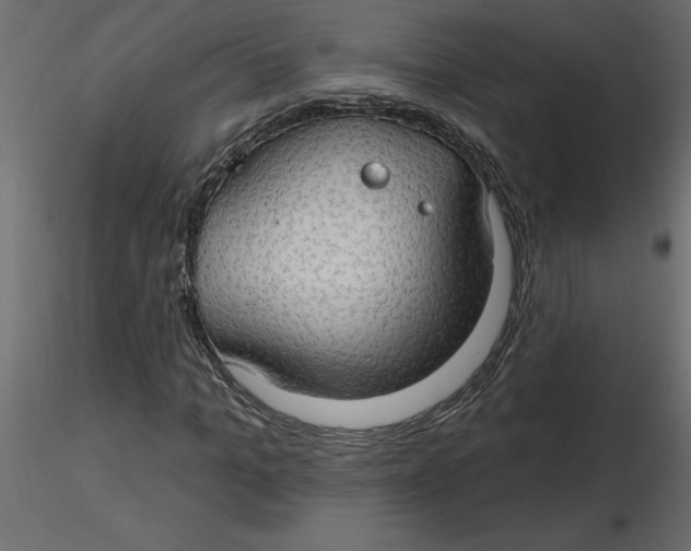 X0000116550965200912311908