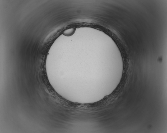 X0000116550967200912311908