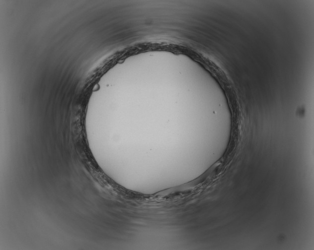 X0000116550968200912311908