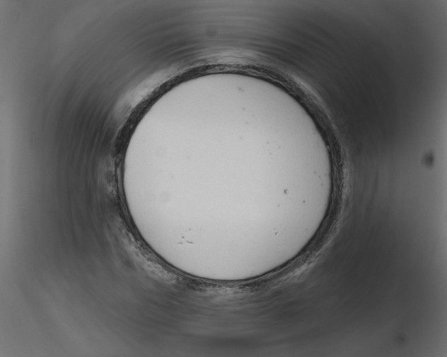 X0000116550970200912311908