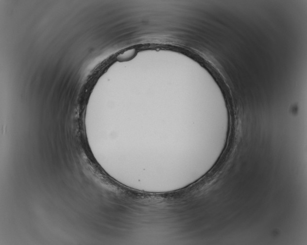 X0000116550971200912311908