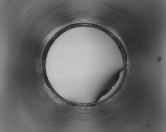 X0000116550972200912311908