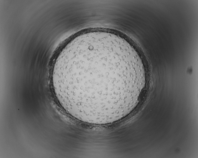 X0000116550974200912311908