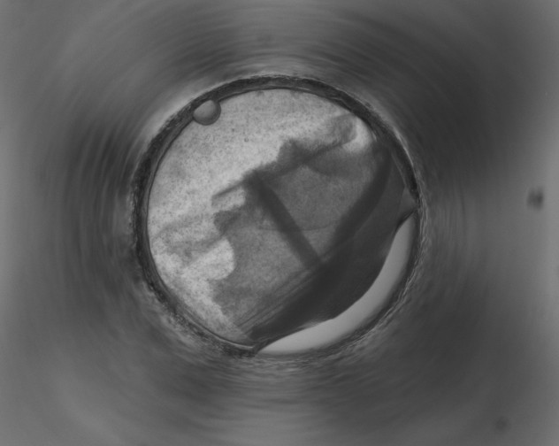 X0000116550975200912311908