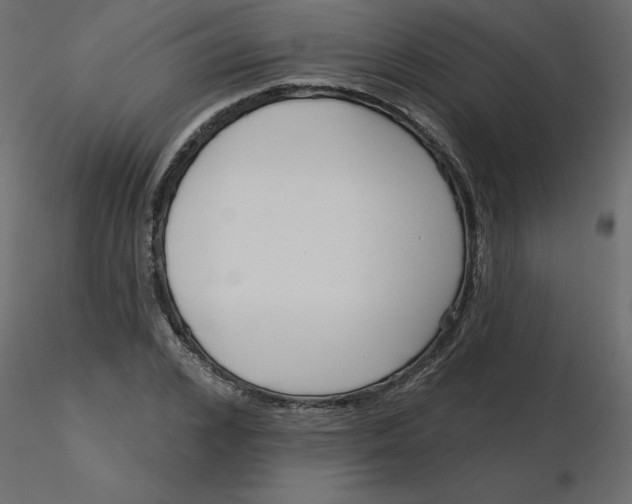 X0000116550976200912311908