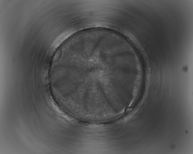 X0000116550977200912311908