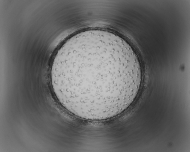 X0000116550978200912311908