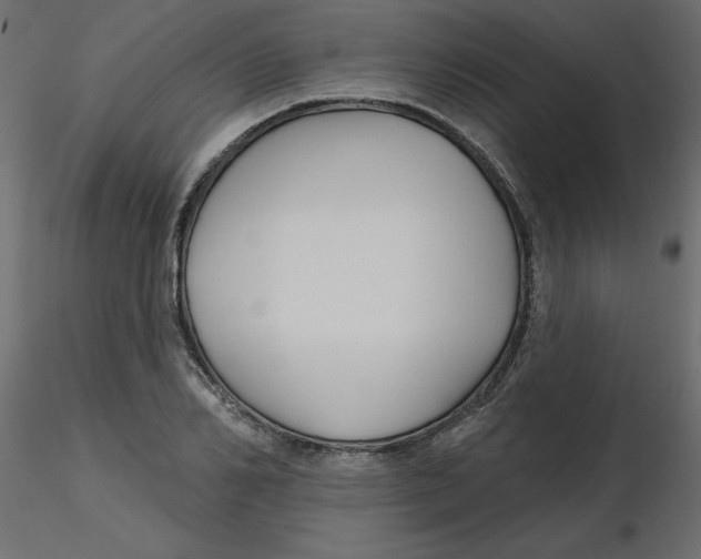 X0000116550982200912311908