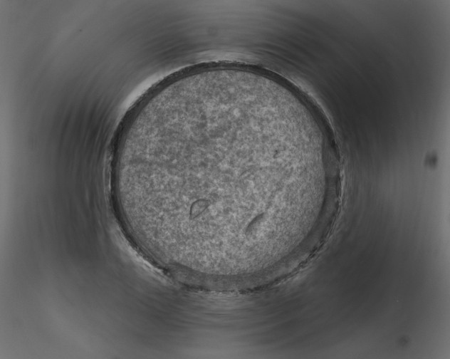 X0000116550983200912311908