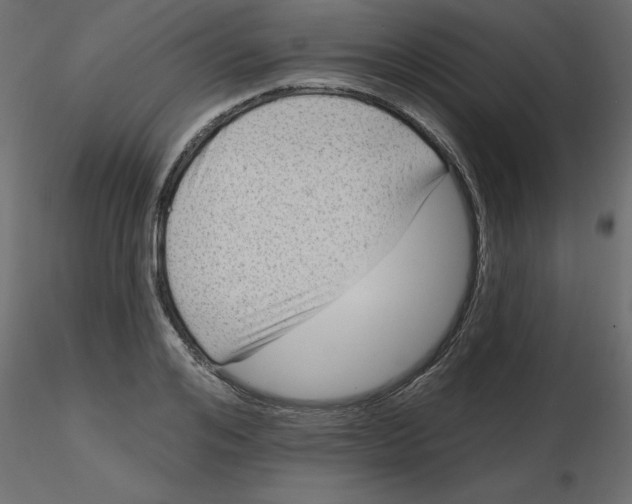 X0000116550984200912311908