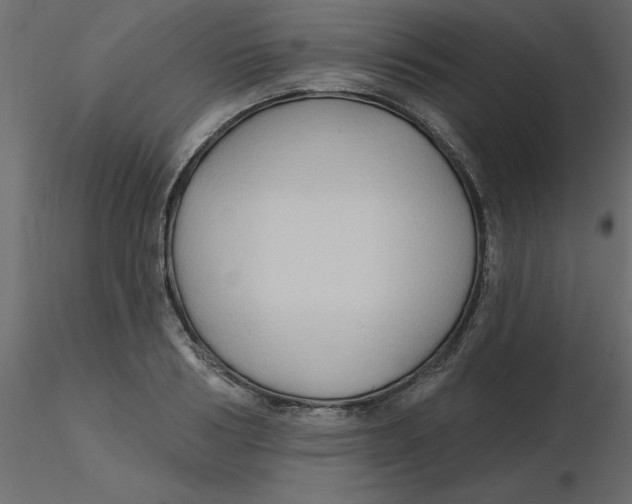 X0000116550986200912311908