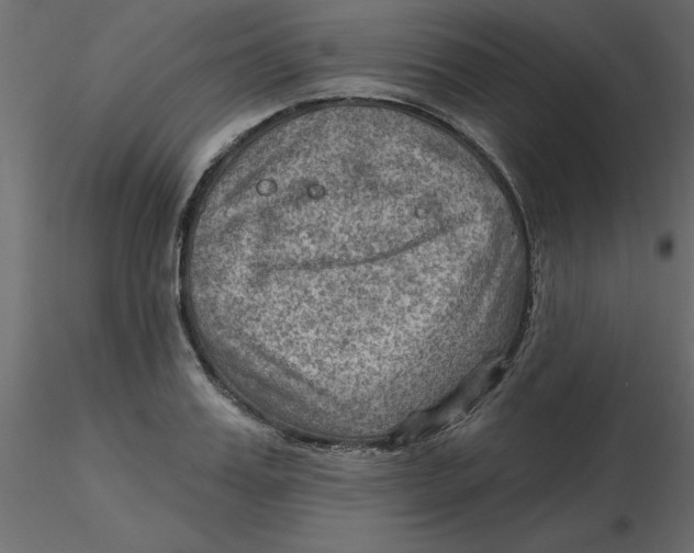 X0000116550987200912311908