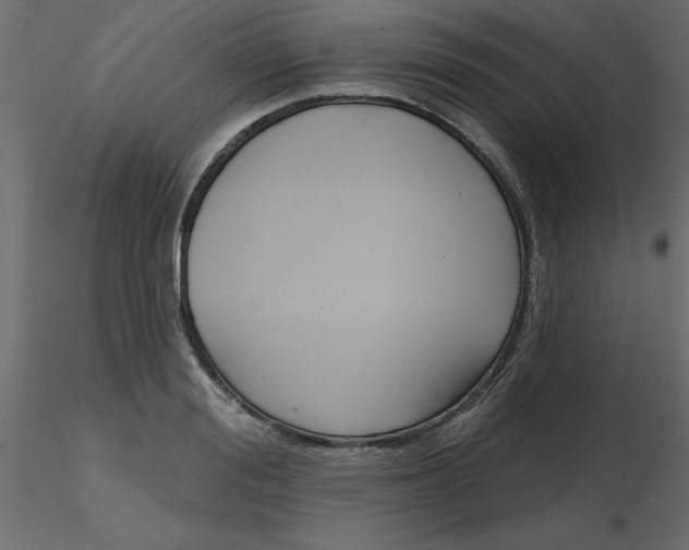 X0000116550988200912311908