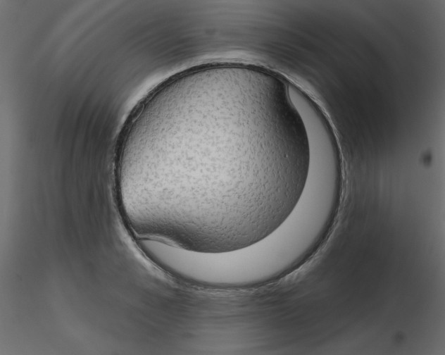 X0000116550989200912311908