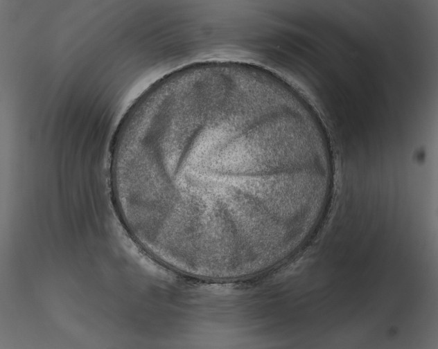 X0000116550990200912311908