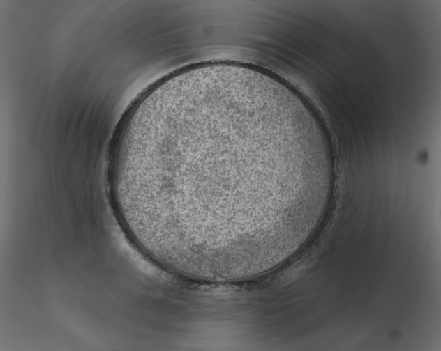 X0000116550991200912311908