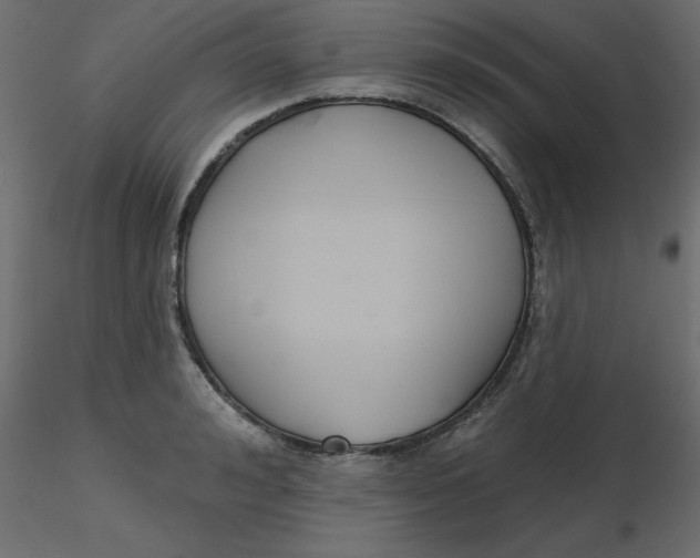 X0000116550992200912311908