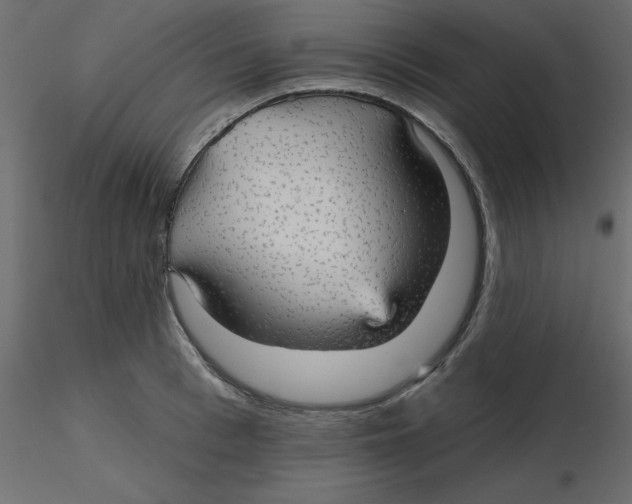 X0000116550993200912311908