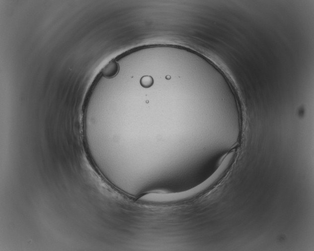 X0000116550996200912311908