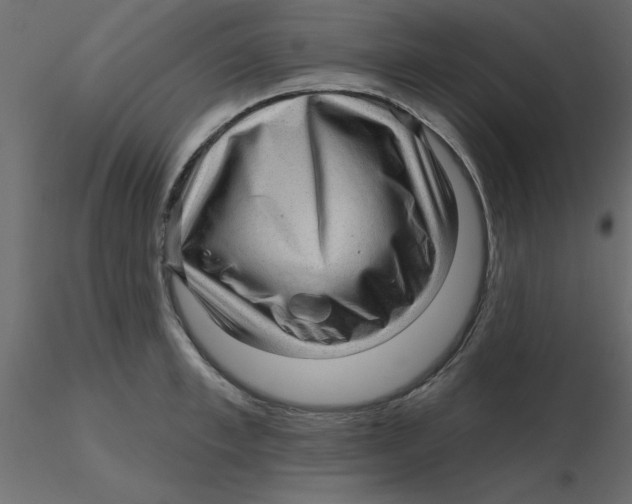 X0000116550997200912311908